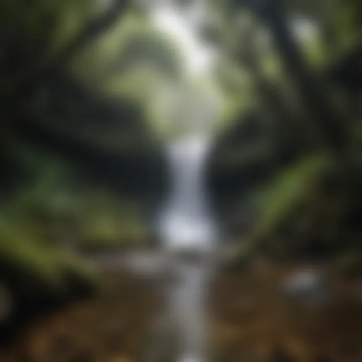 Scenic waterfall cascading through the tropical fauna of El Yunque