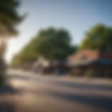 A bustling street in Baldwin showcasing local businesses