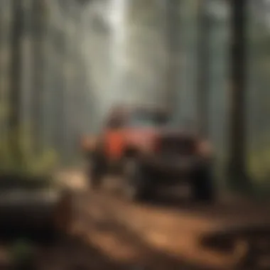 Sustainable forestry practices in action