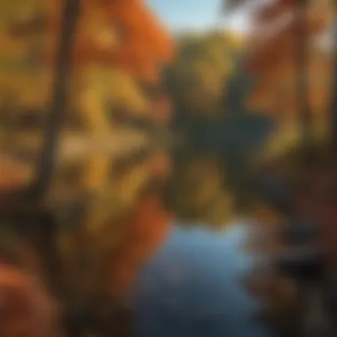 A tranquil lake surrounded by vibrant autumn foliage in Finger Lakes National Forest