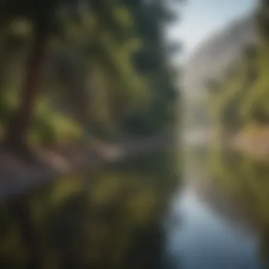 An angler casting line into a river surrounded by lush greenery