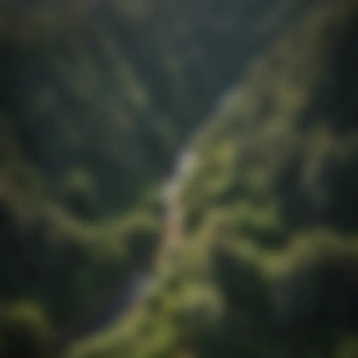 Aerial view showcasing the lush forests surrounding Ford Yreka, CA