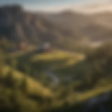 Scenic view of the Black Hills landscape