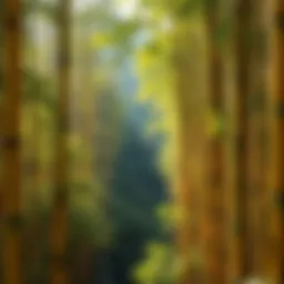 Exploring Golden Bamboo: A Comprehensive Overview Introduction