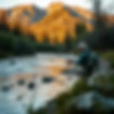 Serenity of River Fishing in the Rockies An angler enjoying a peaceful day by the river