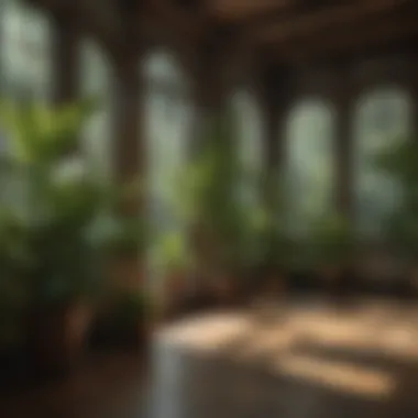 Serene Living Space with Marine-Inspired Houseplants A serene living space enhanced by decorative houseplants that echo marine life.