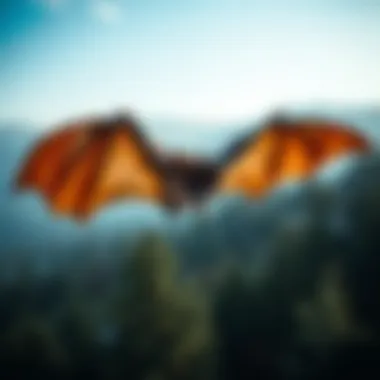 Ecological Consequences of Bat Population Decline A visual representation of the ecological consequences of bat population decline