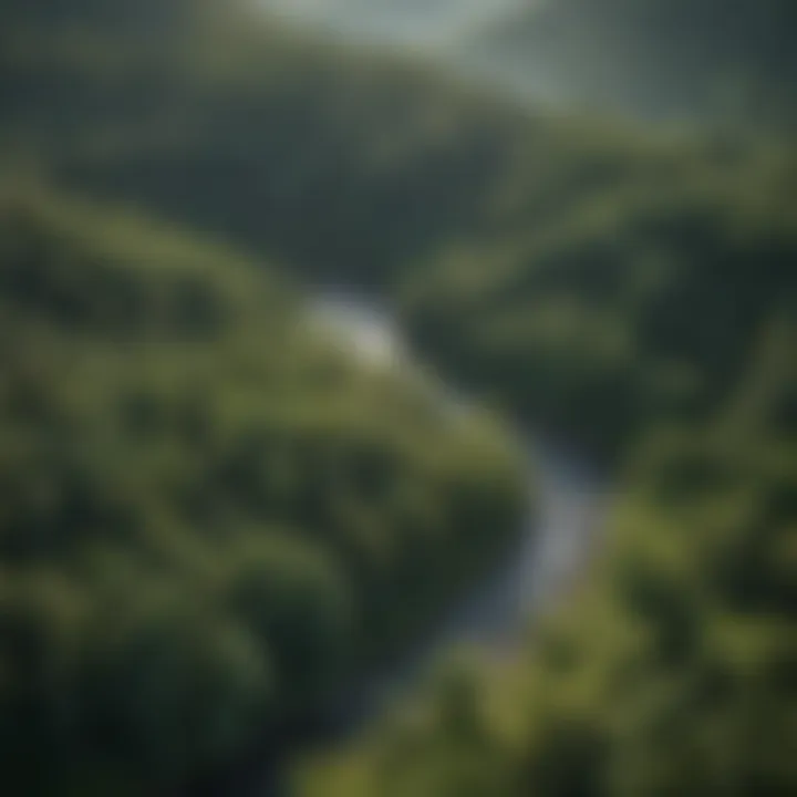 An aerial view of lush green landscapes representing forest investment potential.