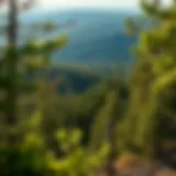 Exploring Land Opportunities in Southeast Oklahoma Introduction
