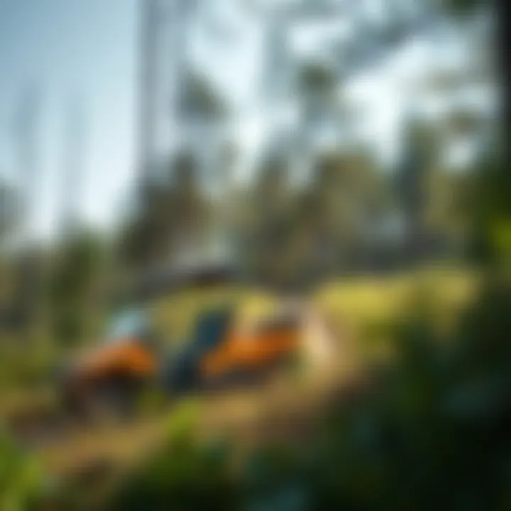 Environmental Impact of Off-Road Activities A serene natural environment impacted by off-road activities