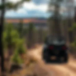 Majestic landscape showcasing a popular ORV trail in Michigan