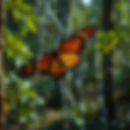 Exploring Monarch Rain Chain Extensions: Enhancing Sustainable Water Management Introduction