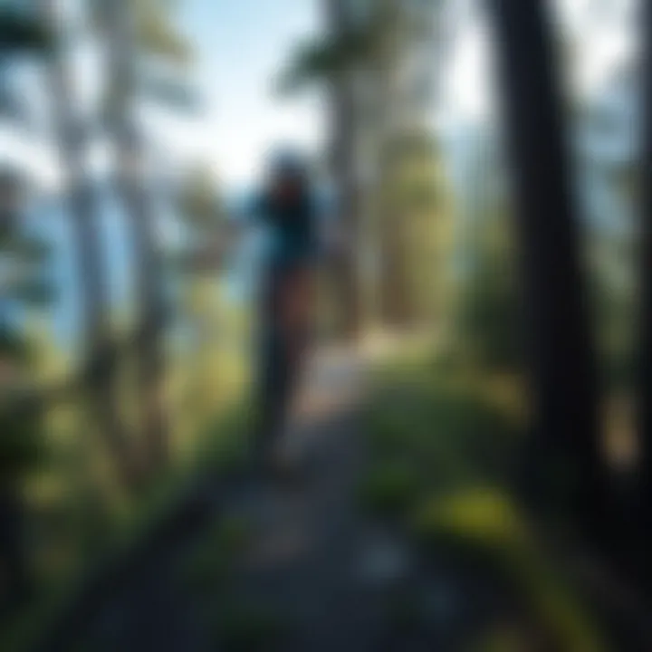 Scenic Trail Adventure Mountain biker navigating a scenic trail surrounded by towering trees