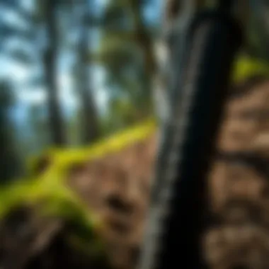 Rugged Terrain Cycling Close-up of mountain bike tires on a rugged terrain trail