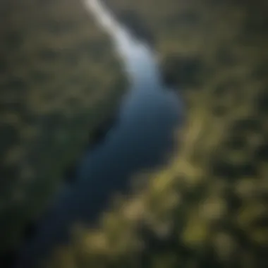 An aerial view of a national state park in Florida, illustrating the vastness of its natural landscapes