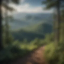 Scenic view of Blue Ridge Mountains in Northern Georgia