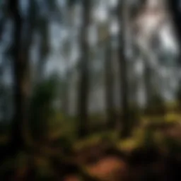 Exploring Northern Hardwoods: Ecology, Management, and Conservation Introduction