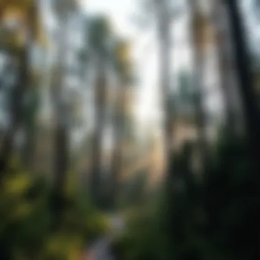Notable Exploring Northern Hardwoods: Ecology, Management, and Conservation Notable Exploring Northern Hardwoods: Ecology, Management, and Conservation
