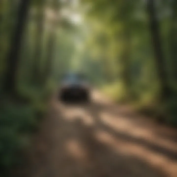 Scenic off-road trail winding through dense forest