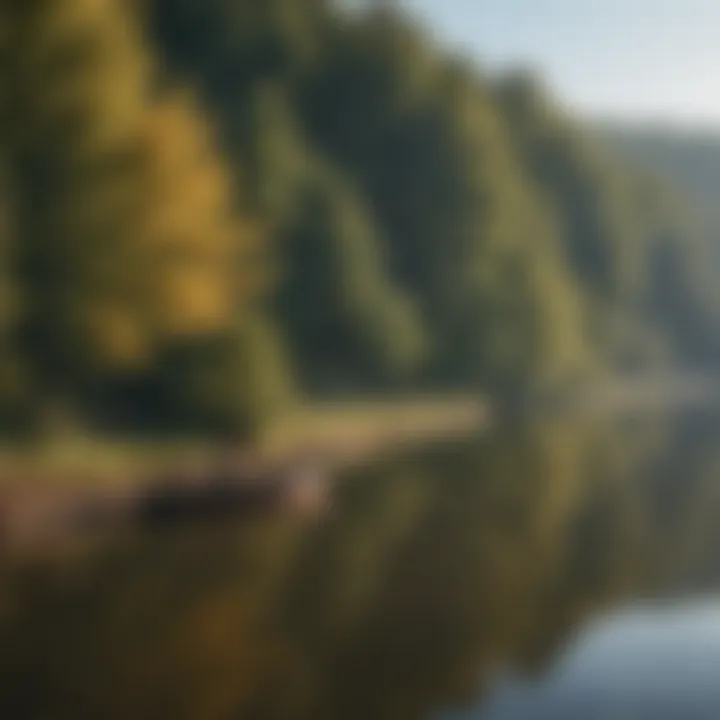 An angler practicing catch and release fishing along the scenic riverbank.