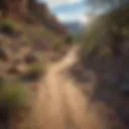 Scenic view of Nevada OHV trails winding through desert landscape
