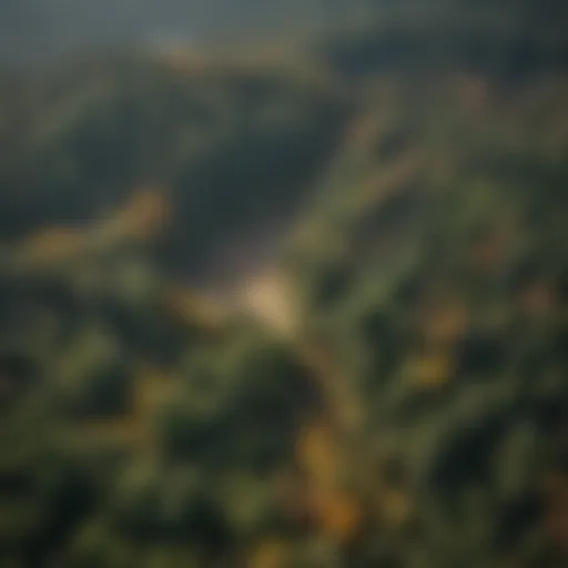 Aerial view of a forest showcasing photogrammetry in action