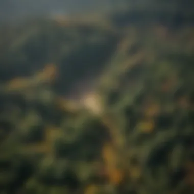 Aerial View of Forest Utilizing Photogrammetry Aerial view of a forest showcasing photogrammetry in action