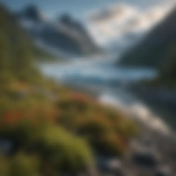 The flora surrounding Portage Glacier showcasing ecological diversity.