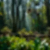 Vibrant Florida landscape showcasing diverse ecosystems