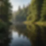 A serene public pond reflecting the surrounding flora.