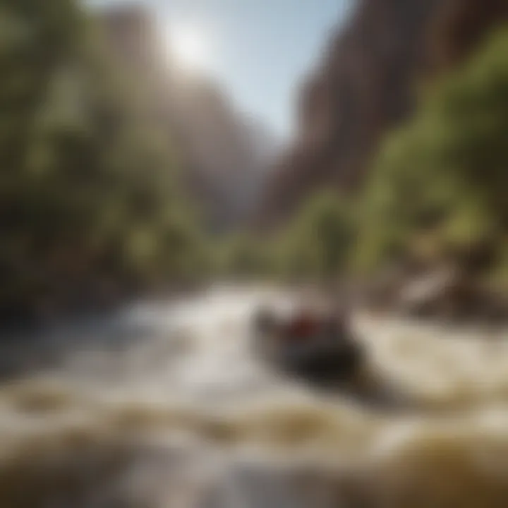 A group of rafters navigating the rapids of the Salt River.