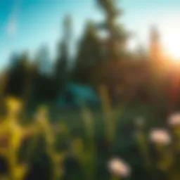 Exploring Tent Camping Locations in Michigan Introduction