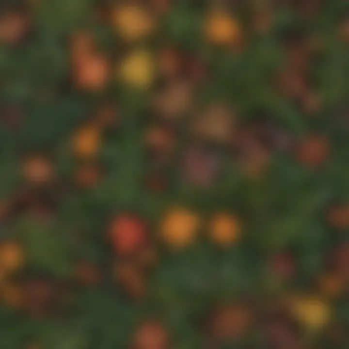 Close-up of nature-inspired color palette including Forest Floor