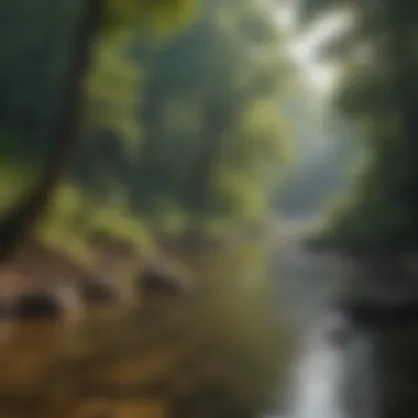 A peaceful riverbank in West Virginia, ideal for an afternoon of fishing