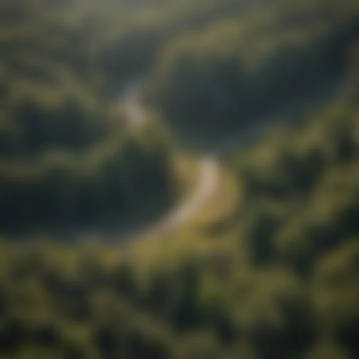 An aerial view of sustainable woodland management practices