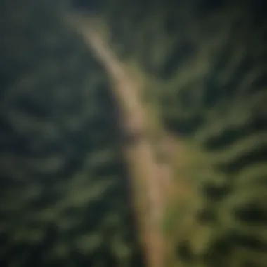 An aerial view of a lush forest, emphasizing sustainable woodland management practices.