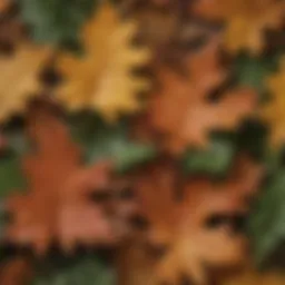 Close-up of varied oak leaf shapes and sizes showcasing diversity