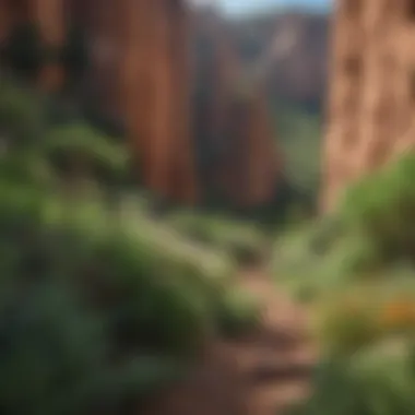 Lush greenery surrounding unique geological structures