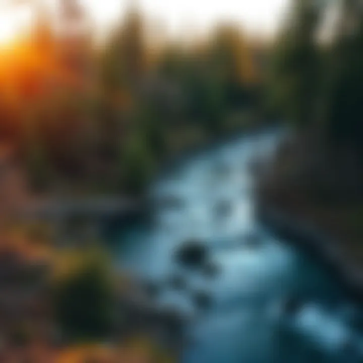 Notable Exploring the Manistee River Trail: A Comprehensive Guide to Backpacking