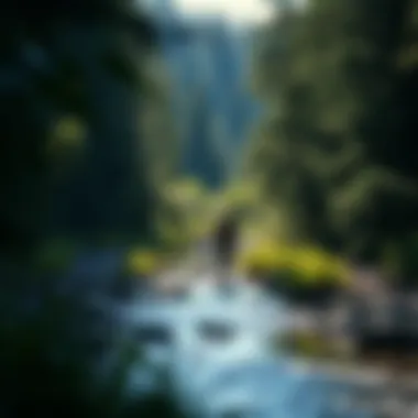 Exploring the Manistee River Trail: A Comprehensive Guide to Backpacking Summary