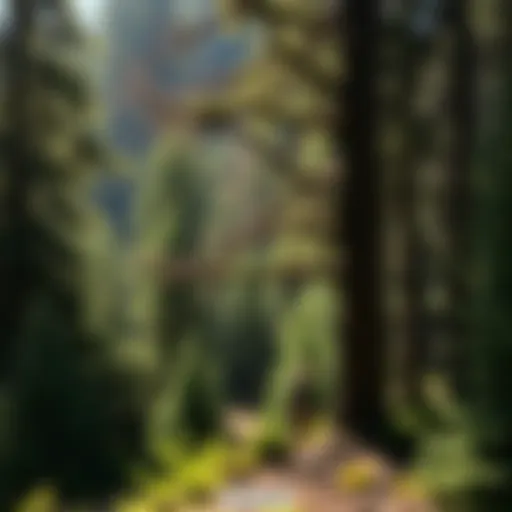 Exploring the Multifaceted Landscape of Northwest California Introduction