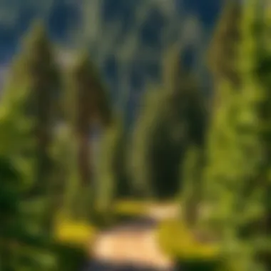 Notable Exploring the Multifaceted Landscape of Northwest California