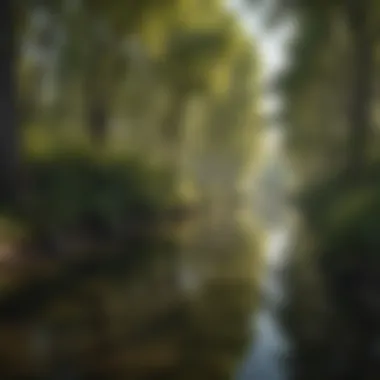 Serene waterway adjacent to the Neusiok Trail reflecting the surrounding landscape