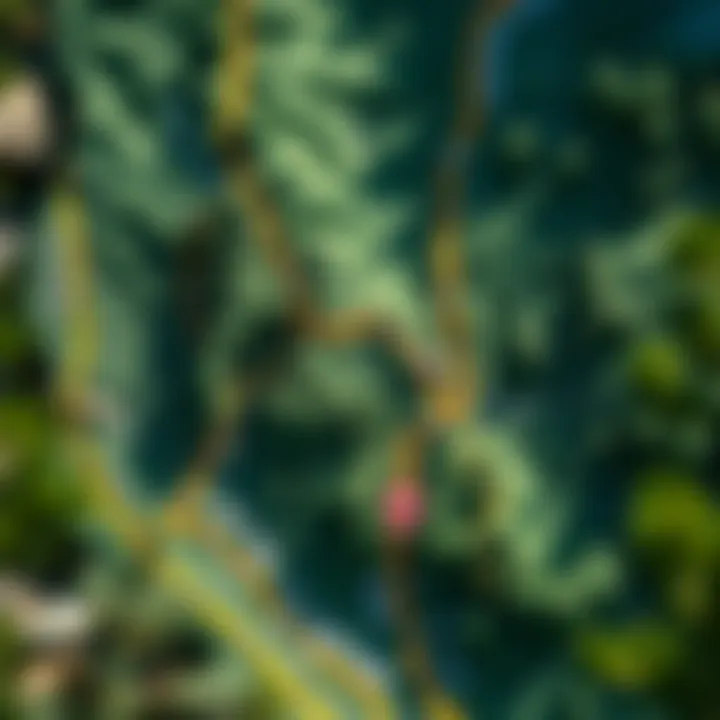 Navigational Insights of the Pacific Crest Trail Detailed map of the Pacific Crest Trail showcasing key landmarks and routes