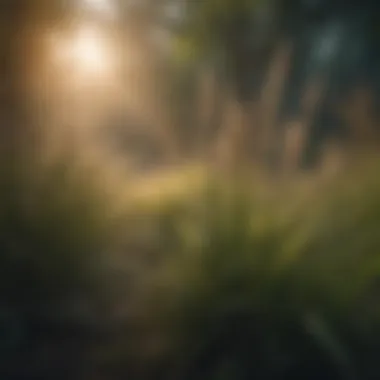 Diverse Exotic Grasses in Nature Vibrant and diverse exotic grasses in a lush landscape