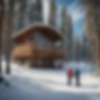 Guests enjoying outdoor activities in the snowy landscape