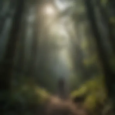 A hiker navigating one of the scenic trails in El Yunque, surrounded by towering trees