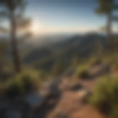 Hikers enjoying a scenic viewpoint along a Mount Lemmon trail