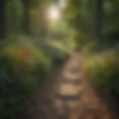 Wildflowers blooming along a scenic path