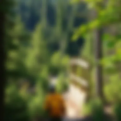 Exploring the Trails of Wayne National Forest Introduction